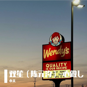 双笙（陈元汐）-心做し（抖音DJ版）