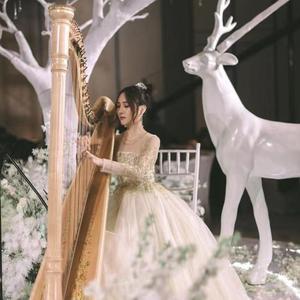 西游记天宫配乐天府乐竖琴版