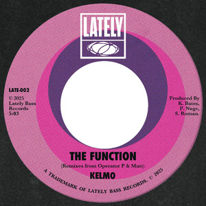 The Function (Mutt Remix)