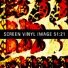 Screen Vinyl Image - Passing Through Mirrors