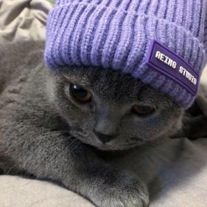 TA 原唱：不是花火呀