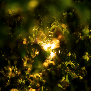 今晚的月色真美 伴奏