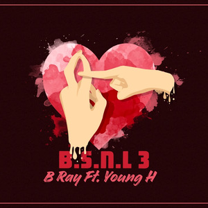 B.S.N.L 3