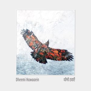 Dheemi Hawaaein