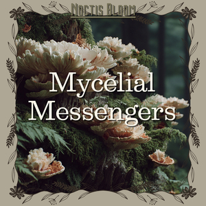 Echoes of the Sacred