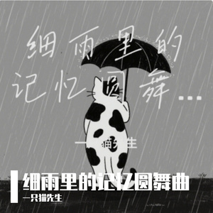 细雨里的记忆圆舞曲