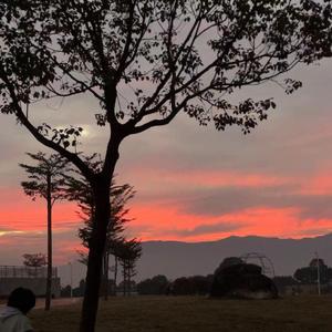 信仰，张信哲(1)