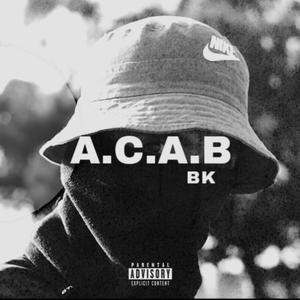 A.C.A.B (Radio Edit)