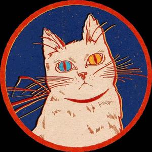 【晴子&锐锐】queendom MIx（翻自 레드벨벳）