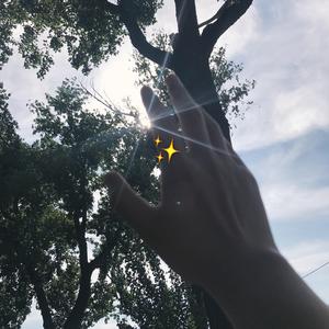 夏末的歌