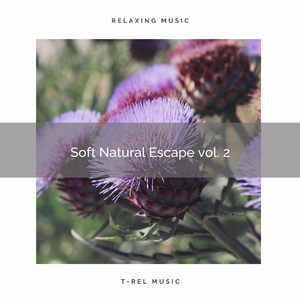 Experience Unique Relax with Unique Nature Tunes pt. 2