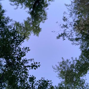 汨（prod tranquil x dayz）