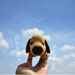 还不是因为你长得不好看（改编还不是因为我长得不好看）（Cover 王梦茹）