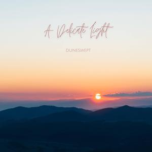 A Delicate Light (feat. SPEARFISHER)