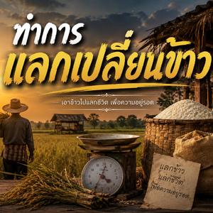 ทำการแลกเปลี่ยนข้าว