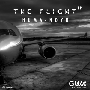 The Flight (Original Mix)