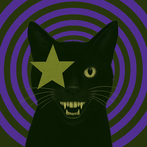 Schrödinger's Cat (Radio Edit)