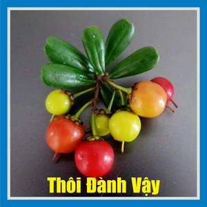 Thôi Đành Vậy