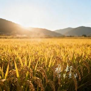 难却 (Cover 平生不晚)