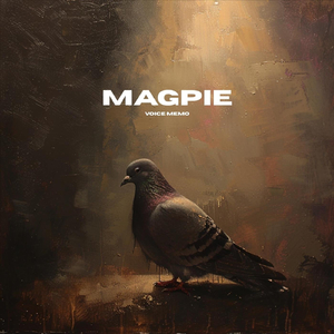 Magpie (Voice Memo)