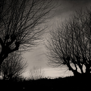 The Beat That My Heart Skipped