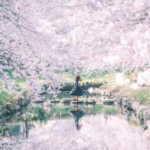 や、く、そ、く