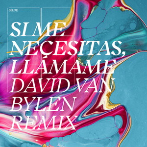 Si Me Necesitas, Llámame (David Van Bylen Remix)