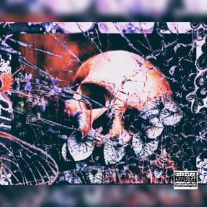 Insanity - FMØSOLO x FMØGABE x ZayDaBlackRose