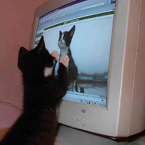 ⌯>ᴗo⌯ಣA dark room without writing spring