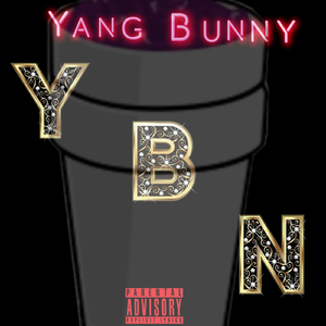 Ybn