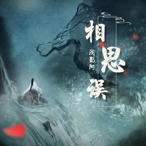 相思误 - DJ德朋版