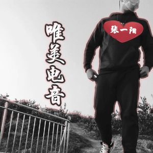 张一阳-唯美电音 V26（张一阳 / 张金金先森 remix）