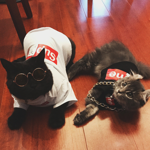 下雨的早上（demo）