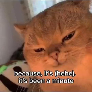 Brooklyn Baby (slowed)