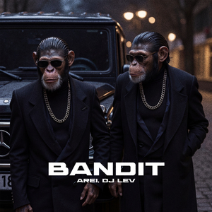 Bandit