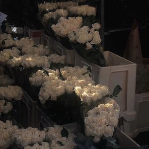 都市丽人生存报告