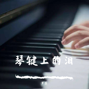琴键上的泪（翻自 黄勇深）