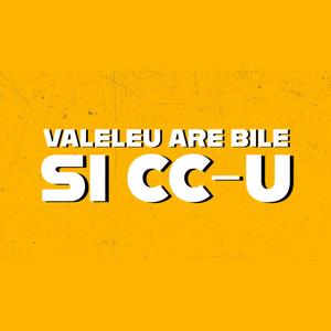 Valeleu are bile si cc-u