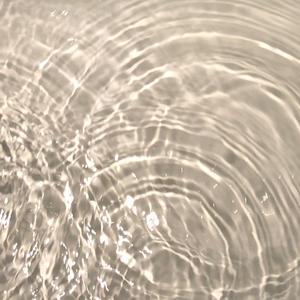 《无名的情书》词曲唱 赵鑫