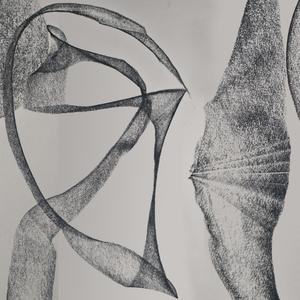 Smooth Endoplasmic Reticulum