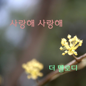 사랑해 사랑해