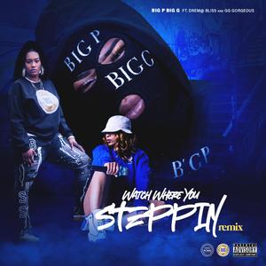 Watch Where You Steppin (Remix)