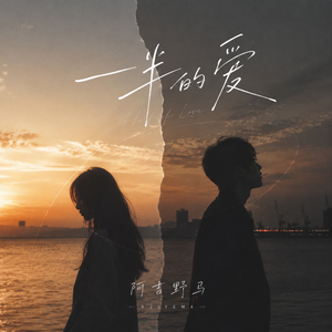 一半的爱DJ
