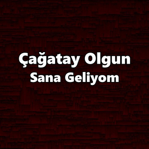 Sana Geliyom