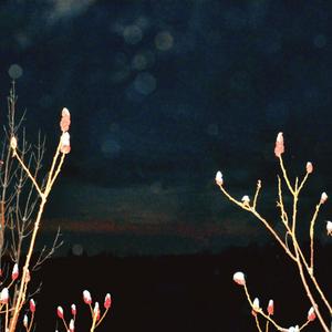 Dead of night (feat. Billy Hill & The Optimists)