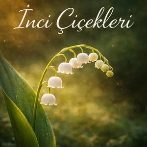 İnci Çiçekleri