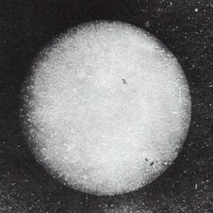 shizarok (shizarok)