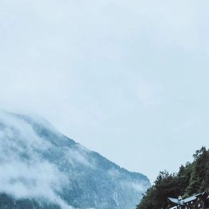 东风不来花开何用