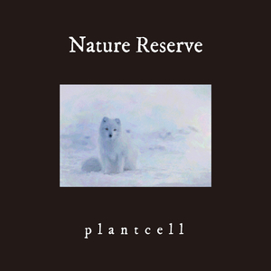 Wind & Wing (feat. Mei Konno)