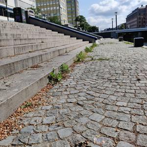 Kurragömma (Nascondino)